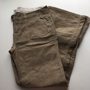 Aeropostale Corduroy pants